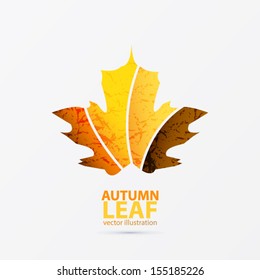 Autumn leaf design