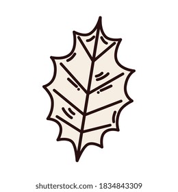 autumn leaf design of Natural floral nature and plant theme Vector illustration