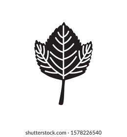 Autumn leaf design, season nature ornament garden decoration and botany theme Vector illustration