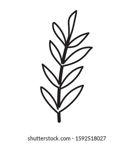 Autumn leaf design, season nature ornament garden decoration and botany theme Vector illustration