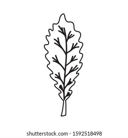 Autumn leaf design, season nature ornament garden decoration and botany theme Vector illustration