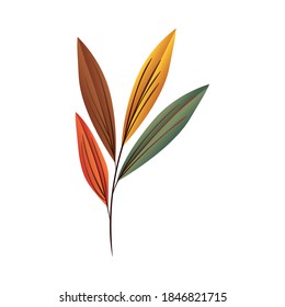 Autumn leaf design, season nature ornament garden decoration and botany theme Vector illustration