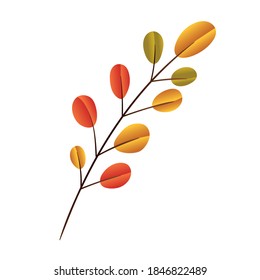 Autumn leaf design, season nature ornament garden decoration and botany theme Vector illustration