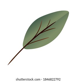 Autumn leaf design, season nature ornament garden decoration and botany theme Vector illustration