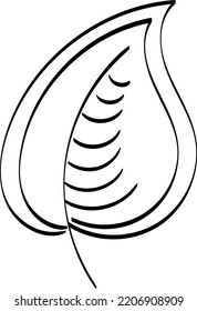 Autumn Leaf Design. Season nature ornament garden decoration. Idea for picture in frame, ornament, autumn holidays. Isolated vector illustrations with white backgrounds. Logo, icons, decoration.
