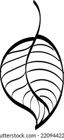 Autumn Leaf Design. Season nature ornament garden decoration. Idea for picture in frame, ornament, autumn holidays. Isolated vector illustrations with white backgrounds. Logo, icons, decoration.