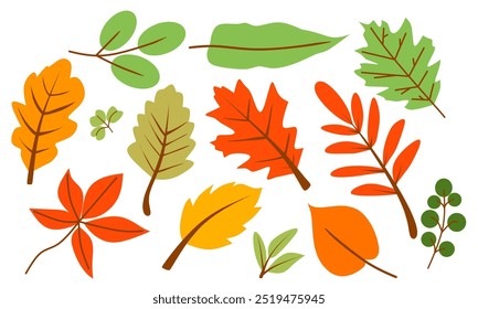 Autumn Leaf Design vector Elements