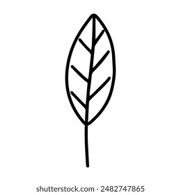 Autumn leaf in doodle style