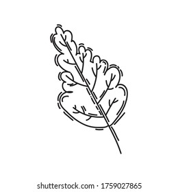 autumn leaf in doodle style on a white background in vector