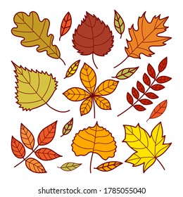 Herbstblatt-Doodle-Vektorgrafik