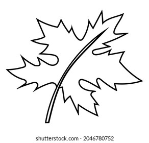 Autumn leaf Doodle Vector Illustration. Comic, Hand drawn.