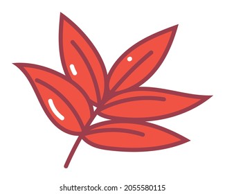 Autumn leaf Doodle Vector Illustration. Comic, Hand drawn.