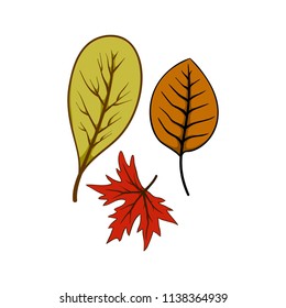 Autumn leaf fall