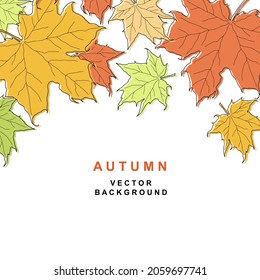 Autumn leaf fall background. Colorful maple leaves. Vector frame isolated on white background