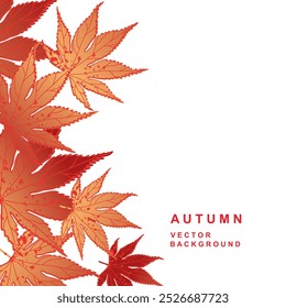 Autumn Leaf Fall frame. Red Leaves Maple Tree vector illustration