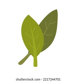 Autumn leaf fall icon and season nature vector illustration. October foliage decoration and seasonal plant design isolated white. Colorful element forest or botany. Flora symbol in flat style autumnal