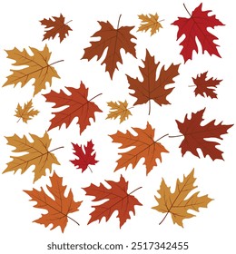 Autumn leaf fall pattern design