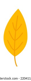 Autumn Leaf. Fall Plant icon. Vector illustration
