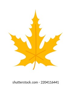 Autumn Leaf. Fall Plant icon. Vector illustration