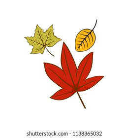 Autumn leaf fall vector
