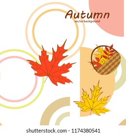 autumn leaf fall wicker basket with leaves