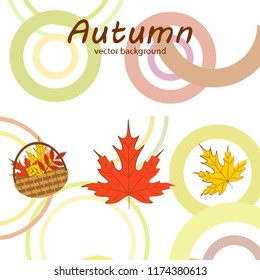 autumn leaf fall wicker basket with leaves