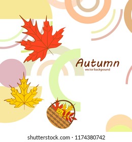 autumn leaf fall wicker basket with leaves