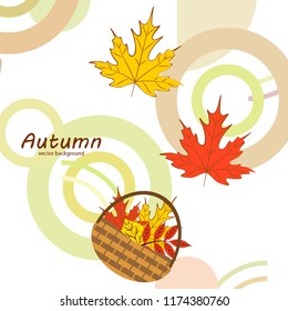 autumn leaf fall wicker basket with leaves