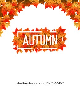 Autumn leaf fallen background