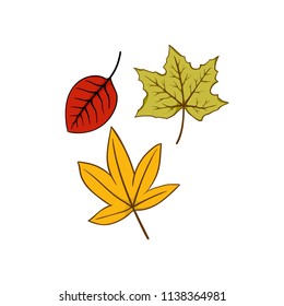 Autumn leaf fallen element
