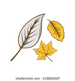 Autumn leaf fallen element