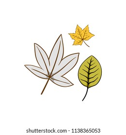 Autumn leaf fallen vector
