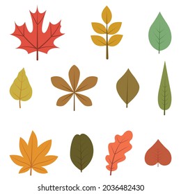 Diseño plano de hoja de otoño. Colección de hojas de otoño verdes, rojas y naranjas. Hojas de arce, abeto, roble, rowan, abedul y más vectoriales aisladas en fondo blanco.