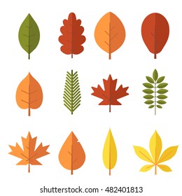 Autumn leaf flat design set. Green, red and orange fallen autumn leaves collection. Maple, spruce, oak, rowan, birch and more vector leaves isolated on white background.