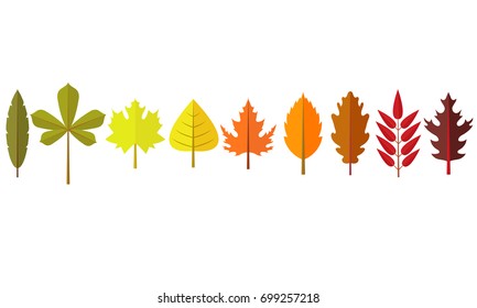 Autumn leaf flat design set. Green, red and orange fallen autumn leaves collection.  Place for text.