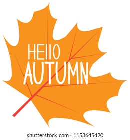 Autumn leaf. Flat. Hello Autumn.Eps10.