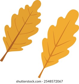 A autumn leaf Flat Vector on white background. illustration Design
