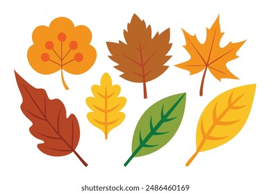 
Autumn leaf flat vector set illustration