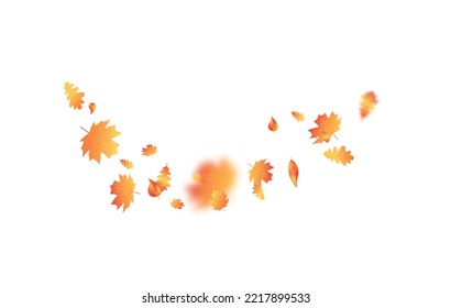 Fondo volador de la hoja de otoño. Tarjeta del día de Acción de Gracias. Composición de arce de otoño. Marco de la ola follaje de octubre. Cartel de septiembre de decoración de hojas de roble. Planta naranja. Invitación de fiesta de cosecha.Ilustración vectorial.