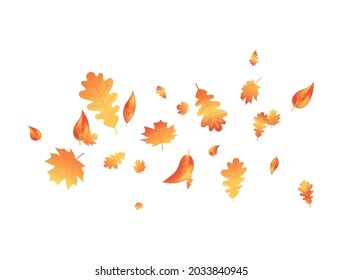 Autumn leaf flying on background. Fall maple composition. October foliage frame. Oak leaves decor september poster. Orange plant. Thanksgiving day card. Harvest party invitation. Vector illustration.