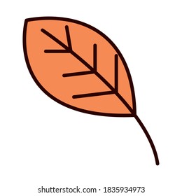 autumn leaf foliage nature vector illustration line fill icon
