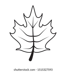 autumn leaf foliage seasonal icon vector illustration design