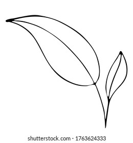 autumn leaf, freehand drawing, vector element in doodle style, coloring book, black outline