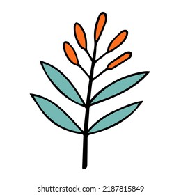 Autumn leaf with fruits of berries. Doodle style. Hello, Autumn. Design or sticker. Isolated illustration. Vector