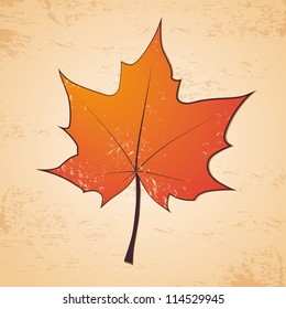 Autumn leaf grunge background