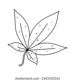 Autumn leaf. Hand drawn doodle style. Vector illustration isolated on white. Coloring page.