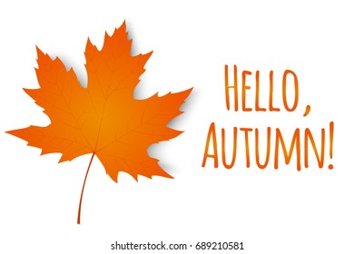 Autumn leaf. Hello, autumn. Autumn maple leaf isolated on a white background. Vector illustration