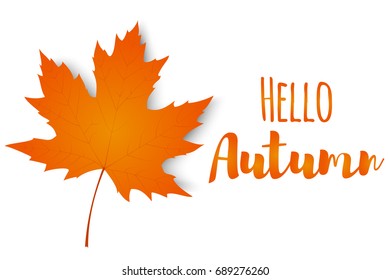 Autumn leaf. Hello, autumn. Autumn maple leaf isolated on a white background. Vector illustration