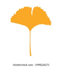 Autumn leaf, herbal element. Fall orange ginkgo leaf. Can be used as sign, symbol, icon. Autumn botanical vector flat plant element, ginkgo biloba. Stock illustration isolated on white background.