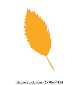 Autumn leaf, herbal element. Fall orange hornbeam leaf. Can be used as sign, symbol, icon. Autumn botanical flat plant element, orange hornbeam. Stock vector illustration isolated on white background.